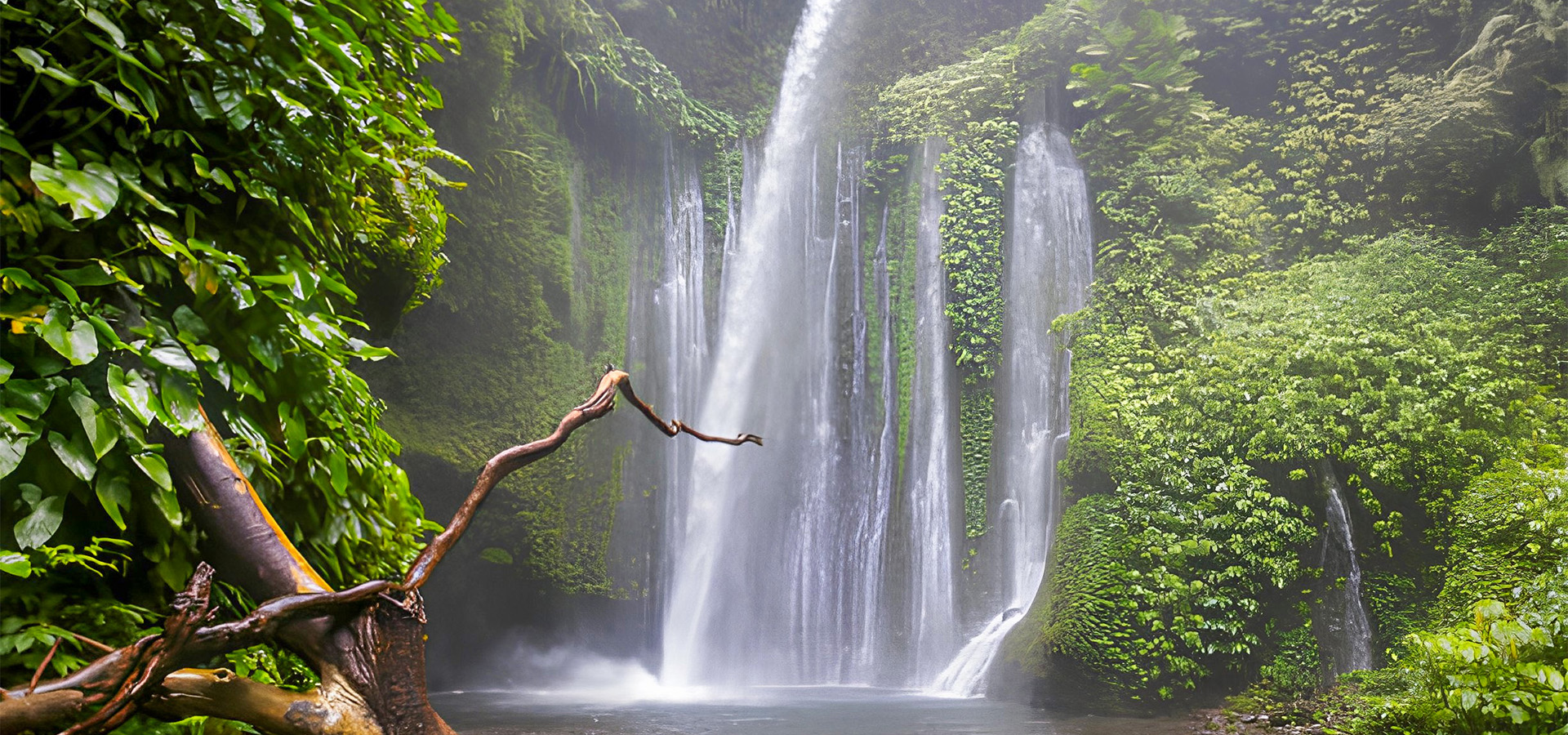 Lombok landscape and Kavara Capital investor resources